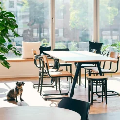 Tische^Thonet 1500 Esstisch 200x100cm