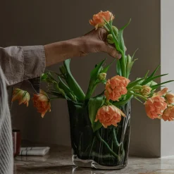 Vasen^Audo Aer Vase H 19cm