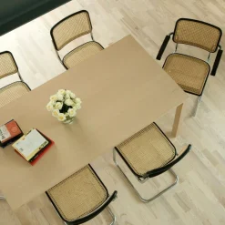 Stühle^Thonet Aktionsset S 32 V Freischwinger Stuhl + Fell