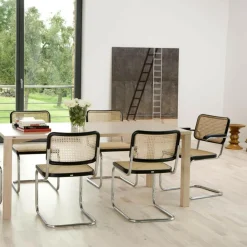 Stühle^Thonet Aktionsset S 32 V Freischwinger Stuhl + Fell