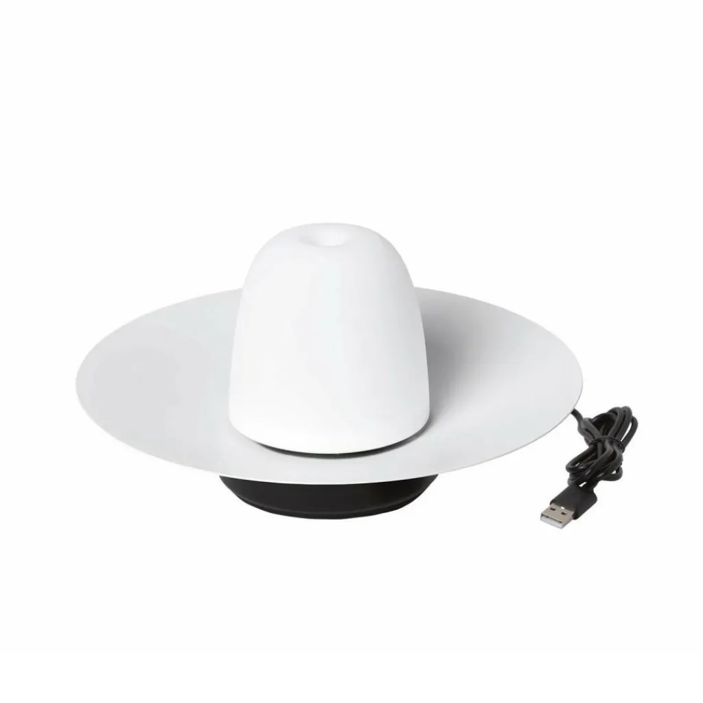 Outdoor-Akkuleuchten|Outdoor-Akkuleuchten^Blomus Ani Lamp Mobile LED Leuchte mit Akku L