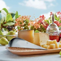 Alessi Antechinus Käsemesser| Besteck