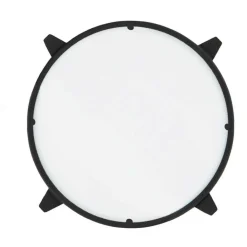 Luceplan Berenice Ersatz-Schutzglas| Leuchten-Zubehör