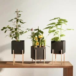 Blumentöpfe^Design House Stockholm Botanic Pedestal Pflanzentopf