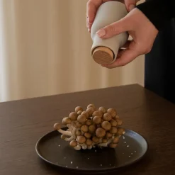 Salz & Pfeffer^Audo Bottle Grinder Small Mühle 2er Set Deckel Buche