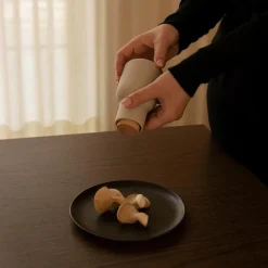 Salz & Pfeffer^Audo Bottle Grinder Small Mühle 2er Set Deckel Buche