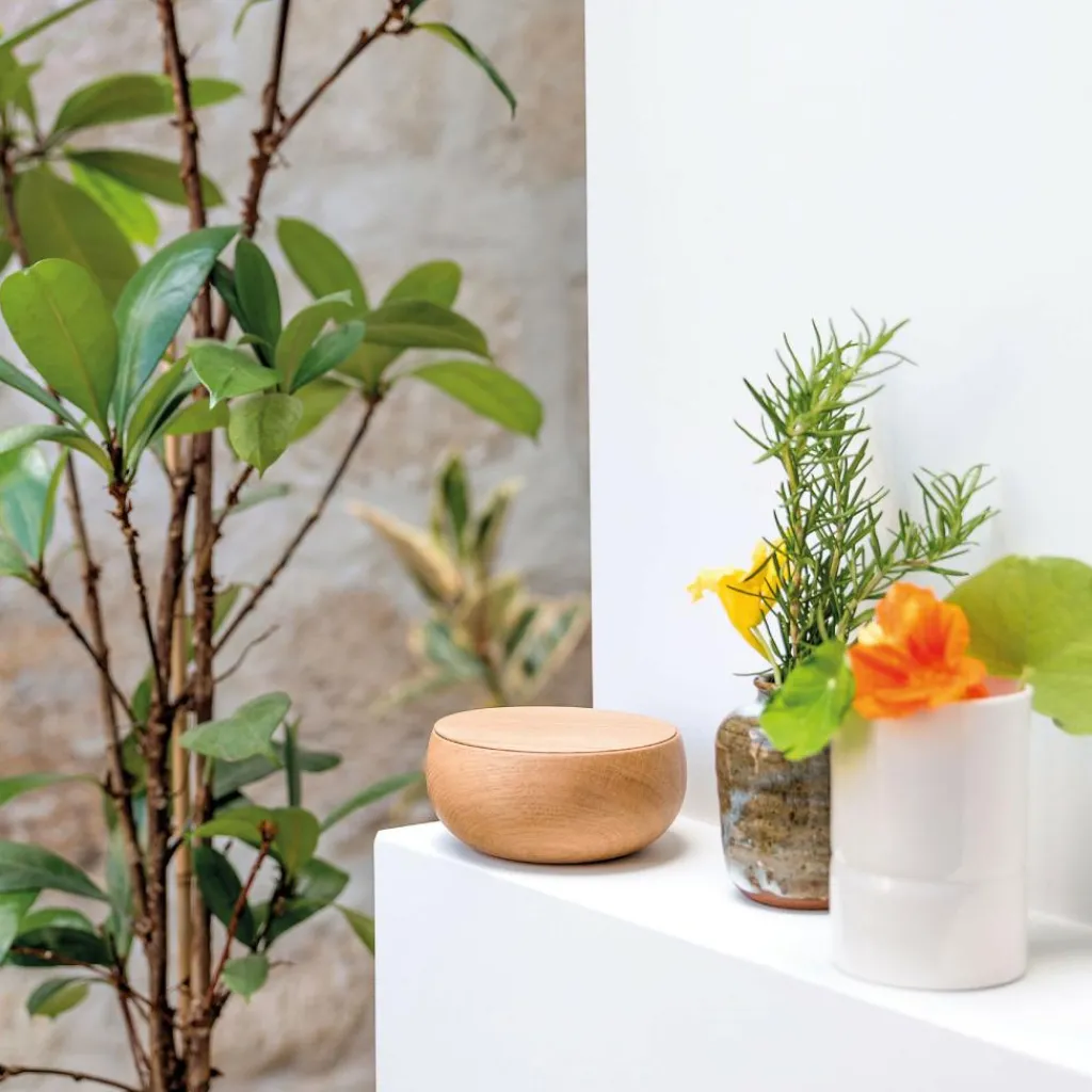 Schönbuch Bowl Schale Ø 17cm| Schmuckaufbewahrung