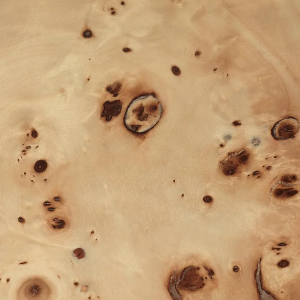 Beistelltische^Ferm Living Burl Couchtisch