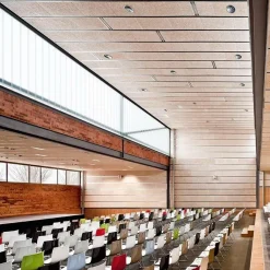 Arper Catifa 46 0287 Armlehnstuhl zweif. Kufe Chrom| Stühle