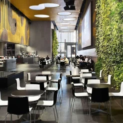 Arper Catifa 46 0278 Stuhl zweifarbig Kufe Chrom| Stühle