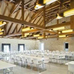 Arper Catifa 46 Stuhl einfarbig Gestell Chrom| Stühle