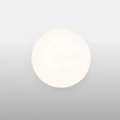 Flos Clara LED Wandleuchte/Deckenleuchte| Deckenleuchten|Wandleuchten