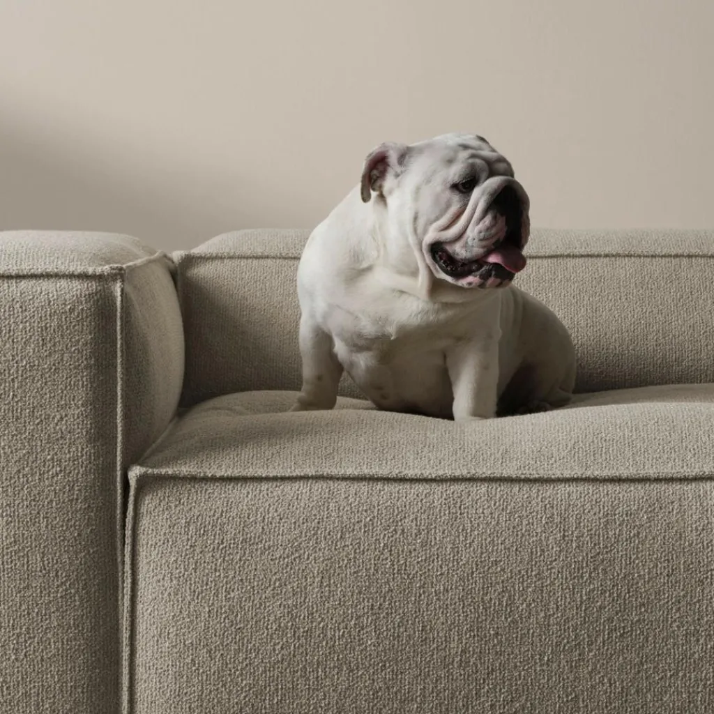 Bolia Cosima Modulsofa mit großer Ecke 300x120cm| Sofas