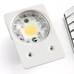 Schreibtischleuchten^Lumina Daphine Cloe LED Schreibtischleuchte