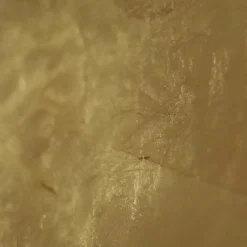 Wandleuchten^Catellani & Smith Luna W LED Wandleuchte