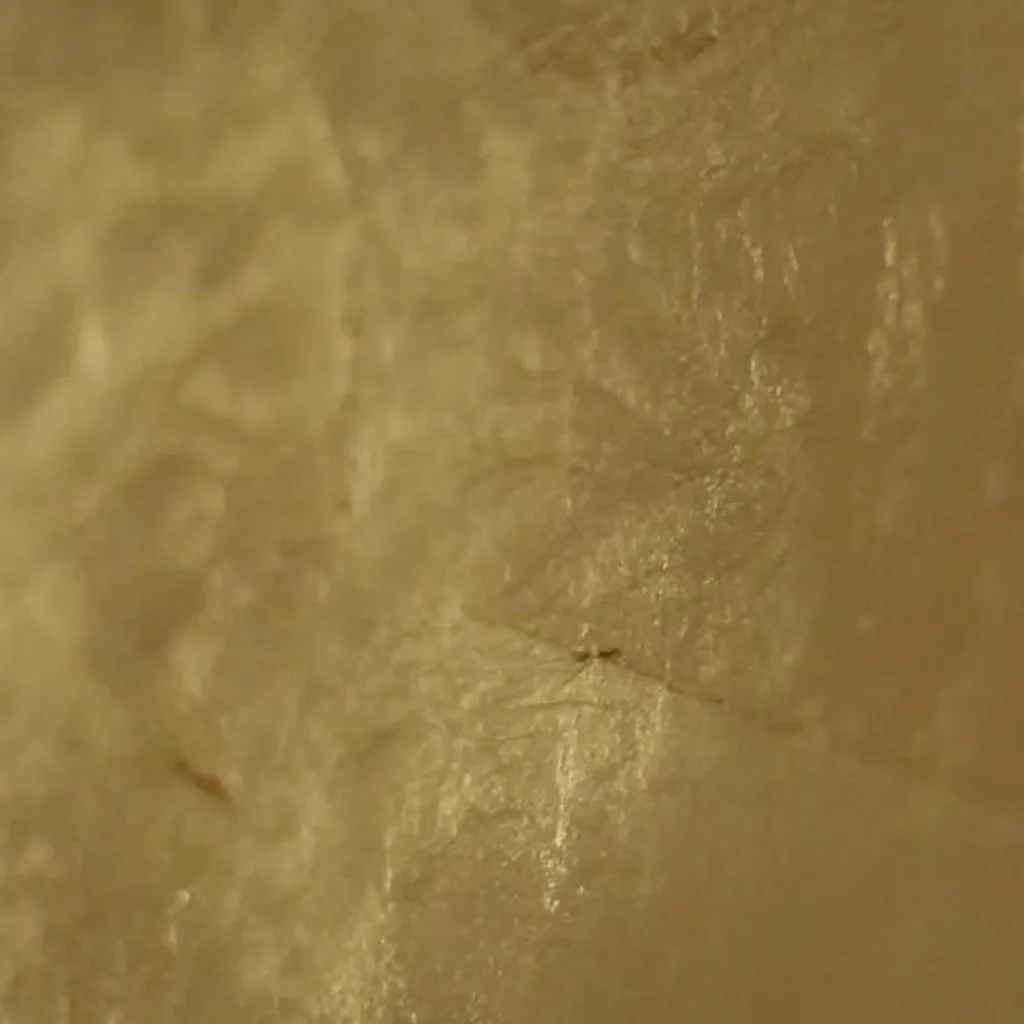 Wandleuchten^Catellani & Smith Luna W LED Wandleuchte