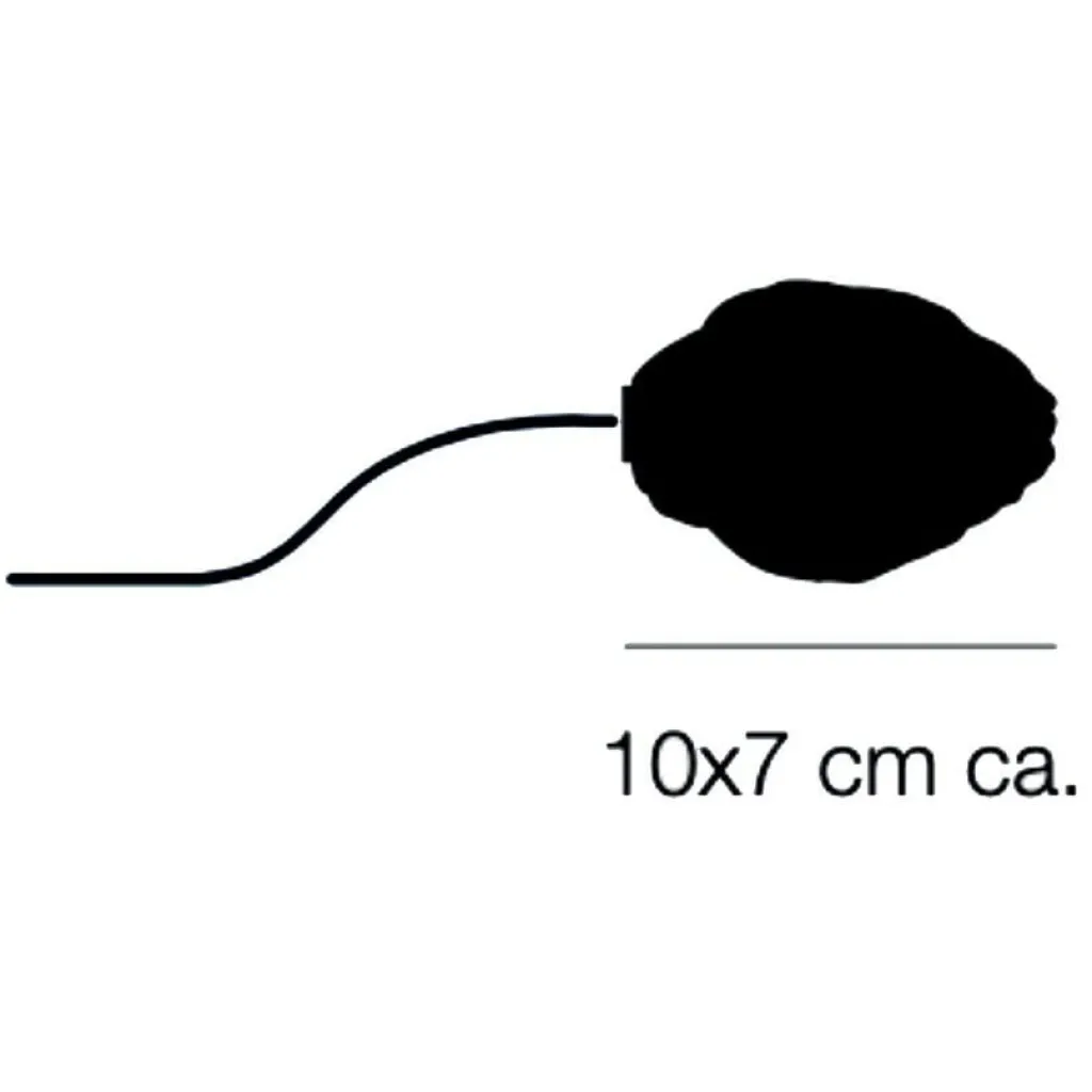 Bodenleuchten Außen|Bodenleuchten Außen^Catellani & Smith More 0 Outdoor Bodenleuchte 3er Set
