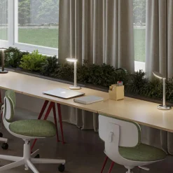 GRAU Parrot LED Tischleuchte| Tischleuchten|Nachttischleuchten