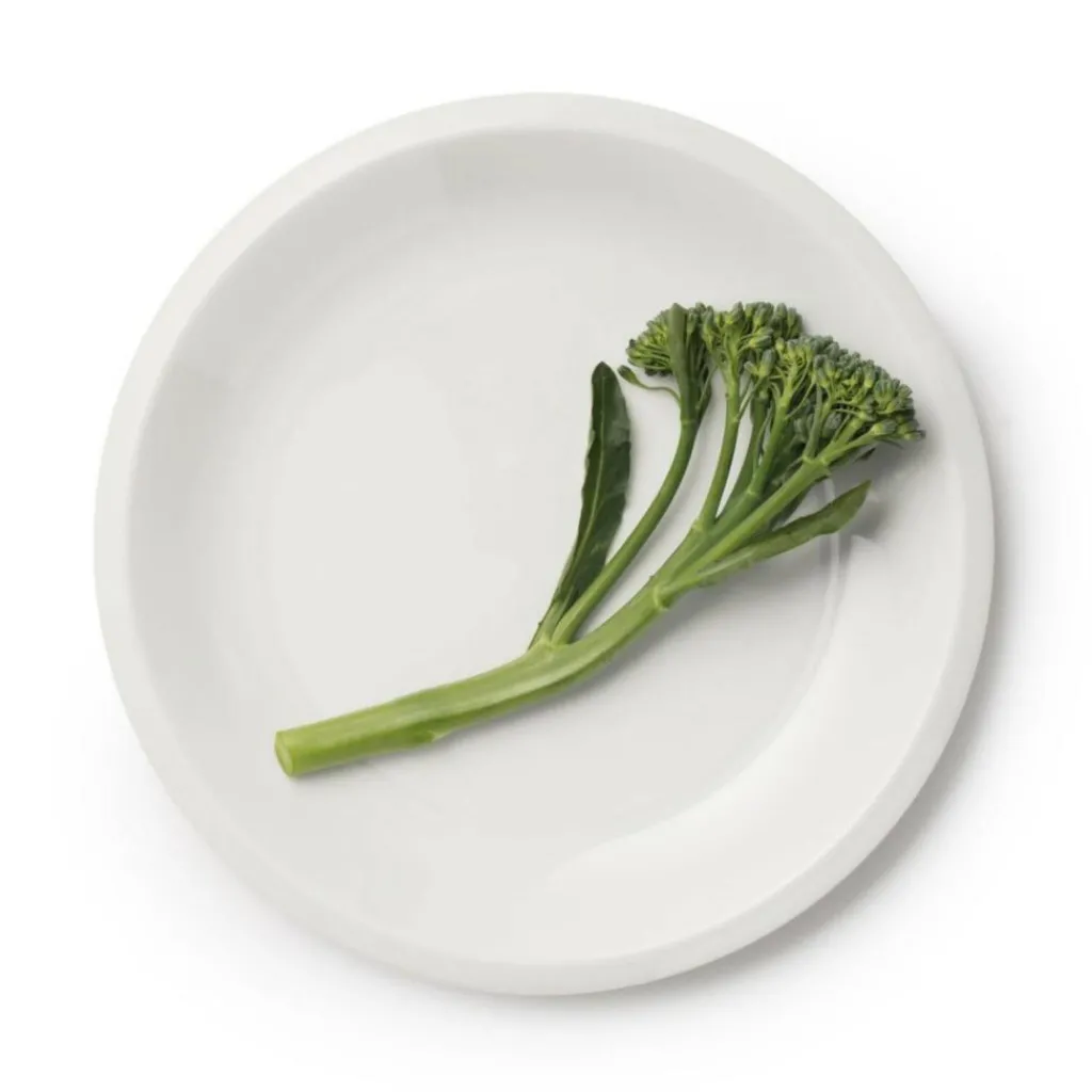 iittala Raami Teller Ø20cm| Geschirr