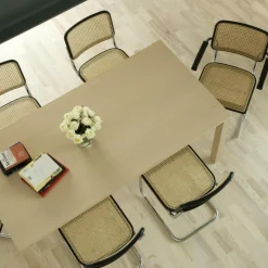 Stühle^Thonet S 32 V Freischwinger Stuhl mit Rohrgeflecht 4er Set