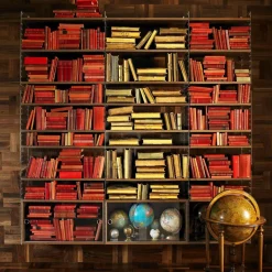 Regalsysteme^String System Wandleiter Plexiglas 50x30cm