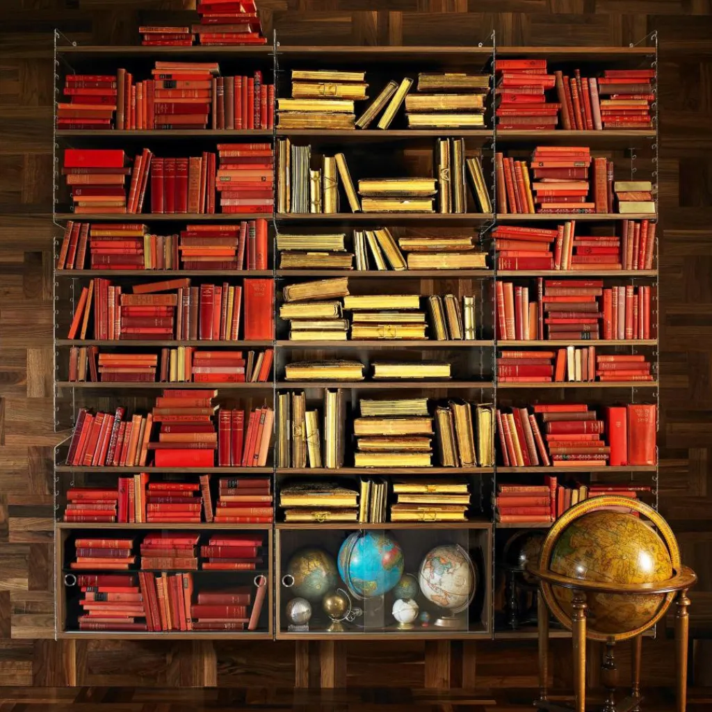 Regalsysteme^String System Wandleiter Plexiglas 50x30cm