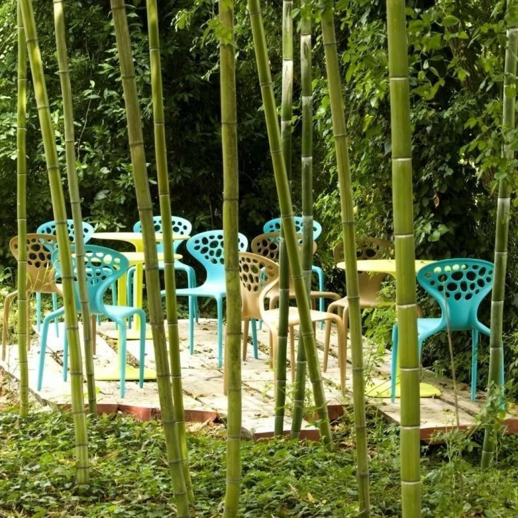 Stühle^Moroso Supernatural Stuhl 4er Set